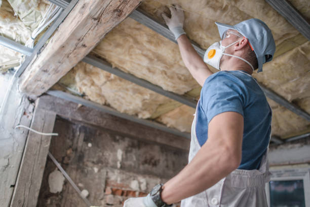Best Insulation Maintenance and Repair in Largo, MD