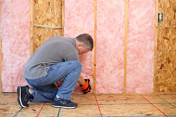 Best Blown-in Insulation in Largo, MD